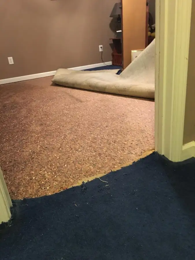 Carpet pad removal revealing water damage during Drying & Dehumidification in Antis