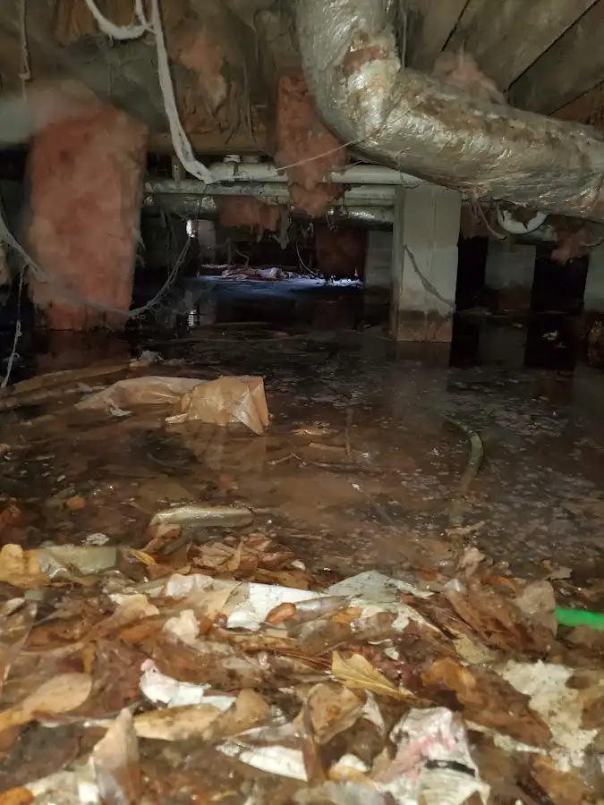 Crawl space flood assessment for Leak Detection & Repair in Antis