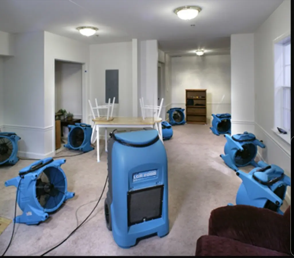 Air movers and dehumidifier setup for Water Extraction & Removal in Antis