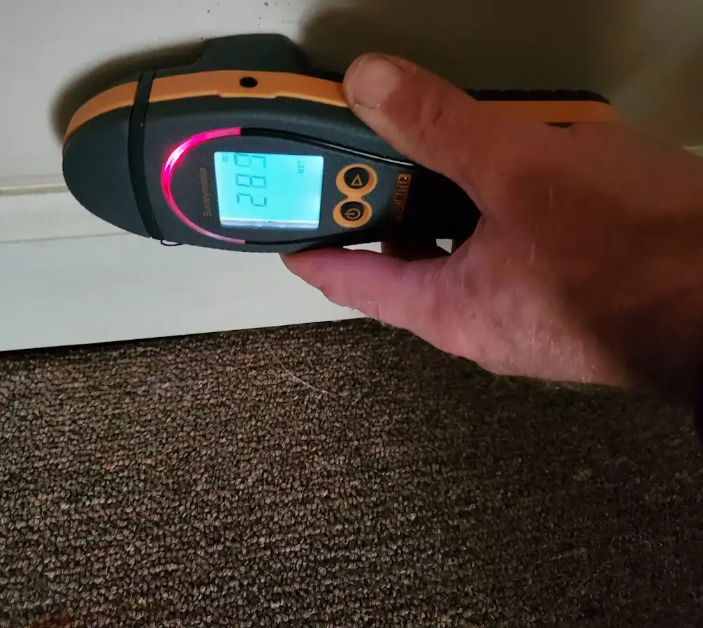 Moisture detection at baseboard during Mold Inspection & Testing in Antis