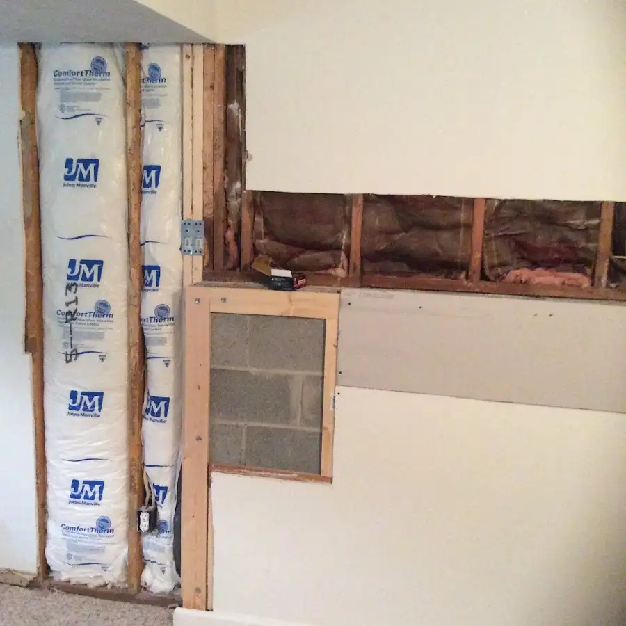 Wall insulation replacement during Odor Removal & Deodorization in Antis